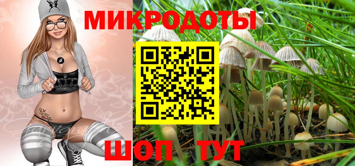 Ленинск-Кузнецкий  где можно купить наркотик  Псилоцибиновые грибы мицелий  Вход с VPN  Галлюциногенные грибы ЛСД 